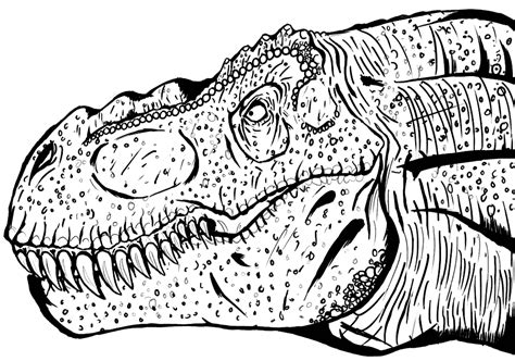 dinosaur head coloring page printable template