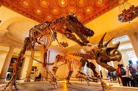 dinosaur museum in louisiana