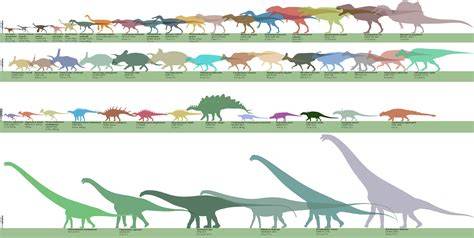 Dinosaur Size Comparison