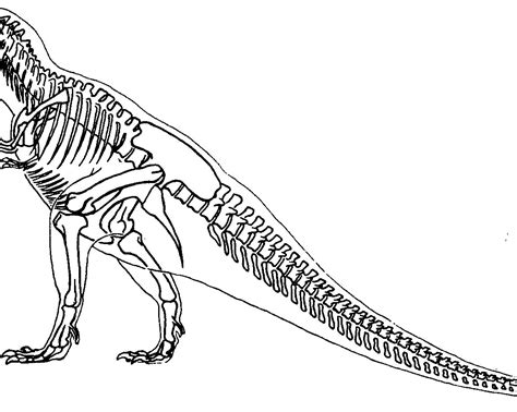 Dinosaur Skeleton With Blackbackround Printable