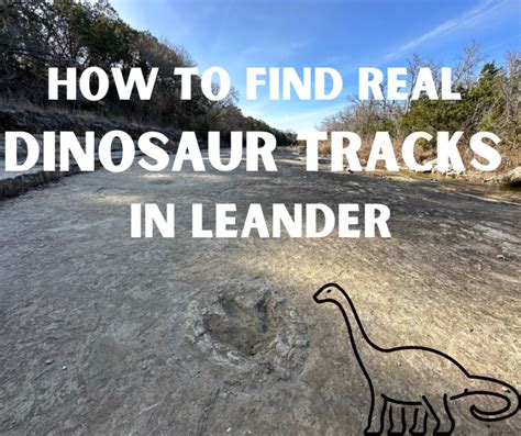 Dinosaur Tracks In Leander