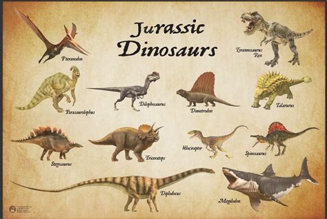 Dinosaur Types