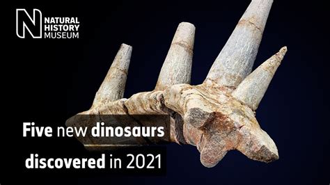 dinosaurs discovered in 2021