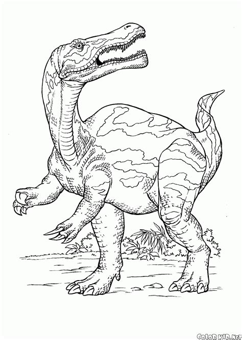 dinozaury z długą szyja kolorowanka