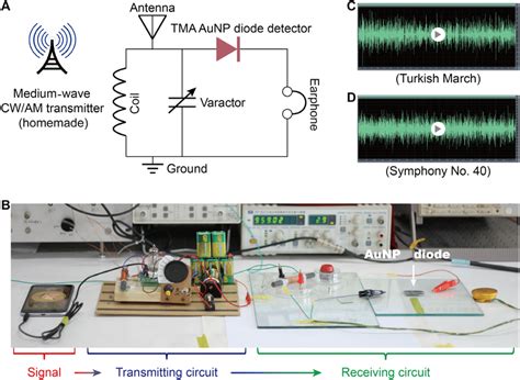 Diode In Radio Receiver