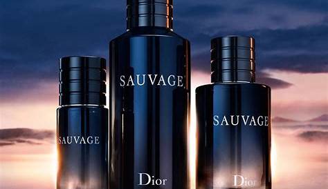 Dior Sauvage Eau De Toilette Vaporisateur Spray Christian 100ml