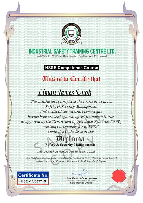 diploma in safety and security