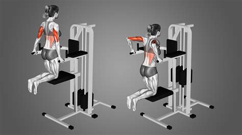 Dips Assisted Machine