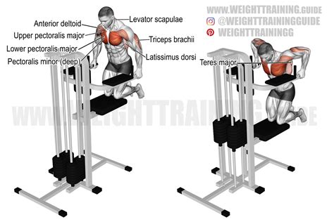 Dips Chest Machine
