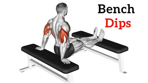 Dips Exercise On Bench