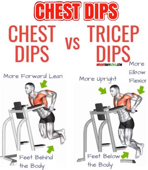 Dips Workout Chest