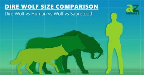dire wolf size comparison to human