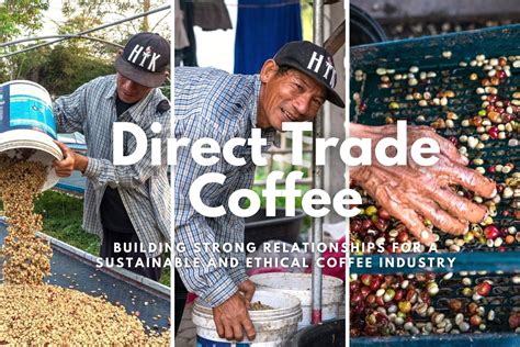 direct trade coffee