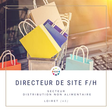 directeur logistique offre emploi