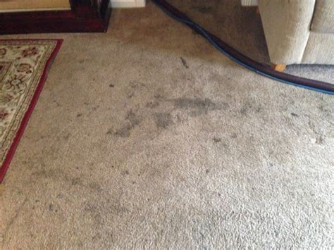 dirty carpet cleaning