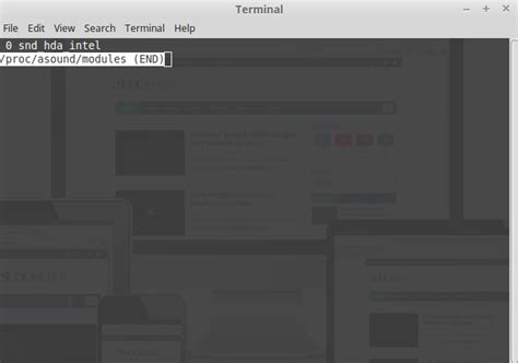 Disable Microphone Linux