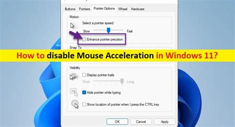 Disable Mouse Acceleration Windows 11