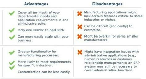 disadvantages of business software