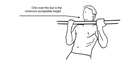 Disadvantages Of Flexed Arm Hang Test