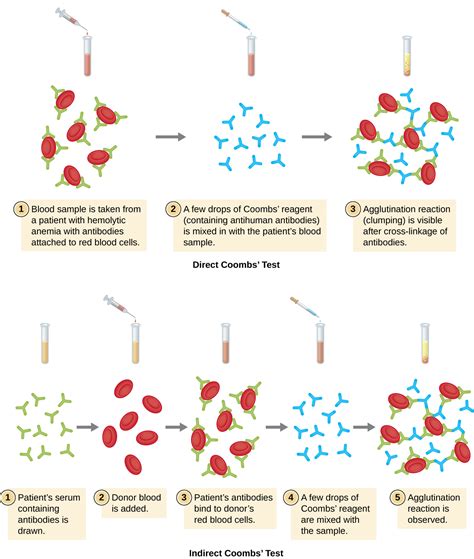 Disadvantages Of Microplate Agglutination Method