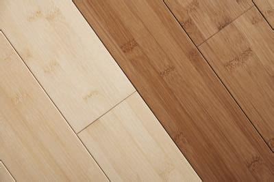 mpgphotography.shop:disadvantages to bamboo flooring