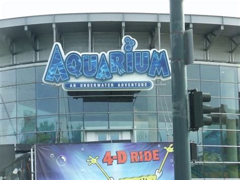 disappointing aquarium