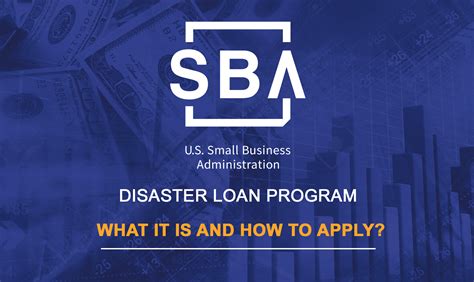 disaster loan assistance loan application