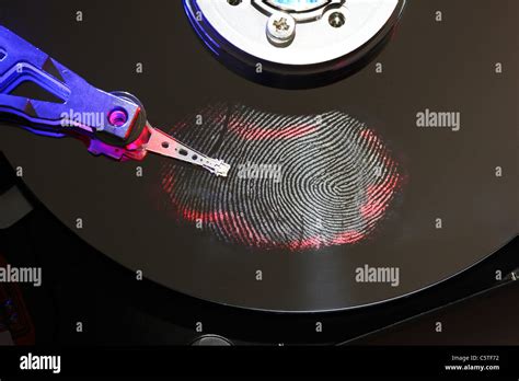 Disc Fingerprint