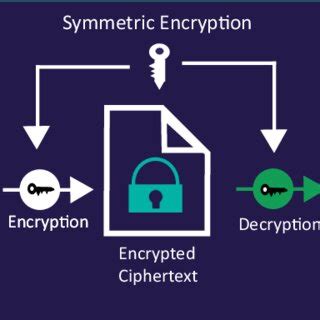 discernment net Encryption
