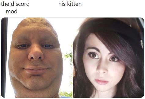 Cursed Discord Mod Memes (discord mod meme compilation) Discord