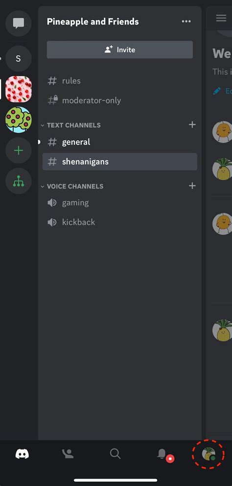 discord on a phone