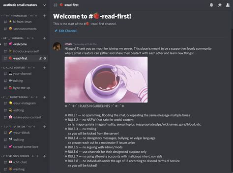 discord rules copy paste aesthetic