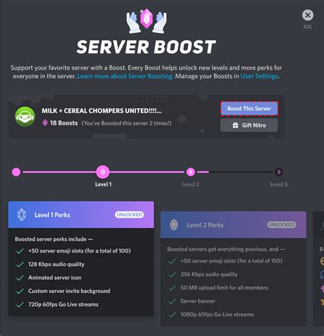 Discord Server Boost