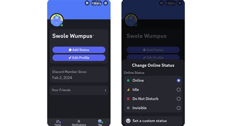 Discord Status Keeps Changing