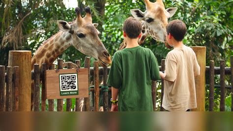 Discount Code For Sanford Zoo