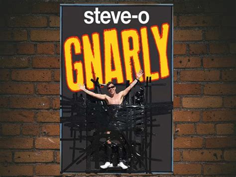 Discount Code For Steve O Gnarly
