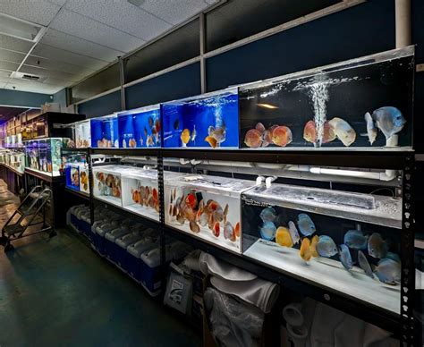 Discount Fish Store