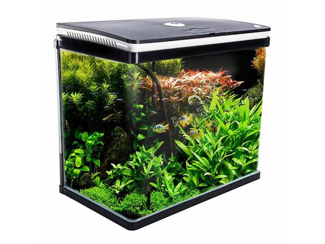 Discount Fish Tanks