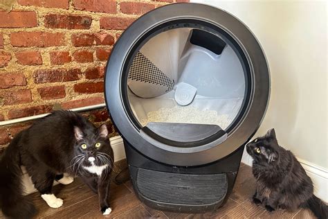 Discount Litter Robot