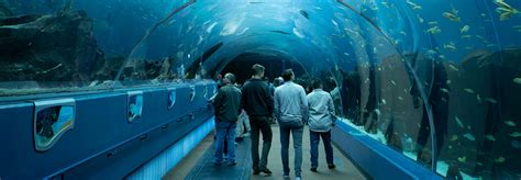 discount tickets georgia aquarium atlanta