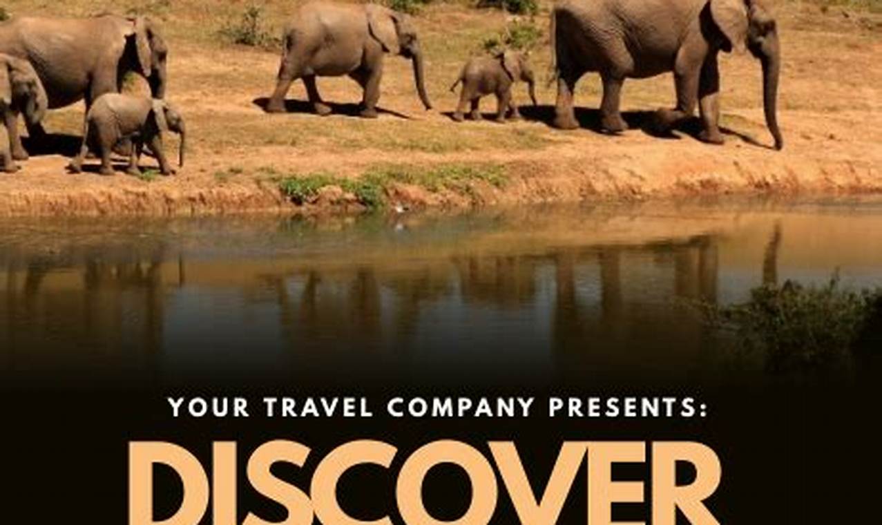 discover africa travel agency