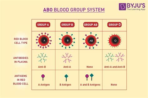 discuss blood grouping in man