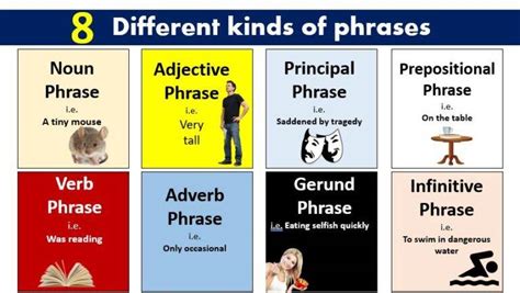 discuss different types of phrases in english with suitable examples