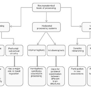 Discuss Neurophysiological Basis Of Traits And Types