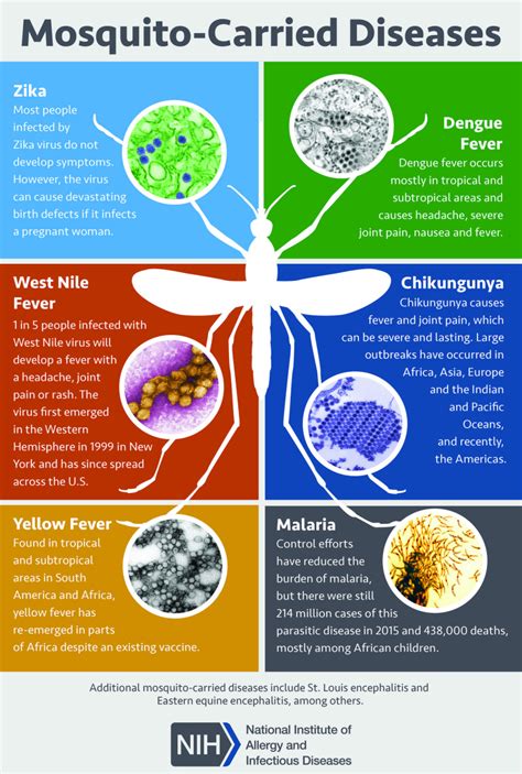 diseases caused by dengue virus