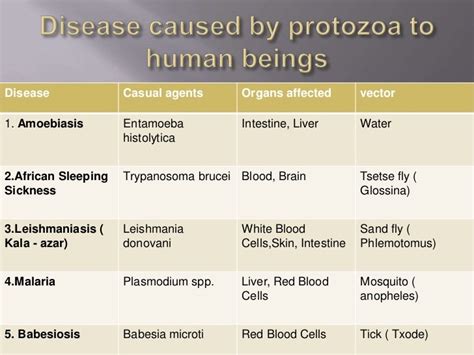 diseases caused by protozoa in humans