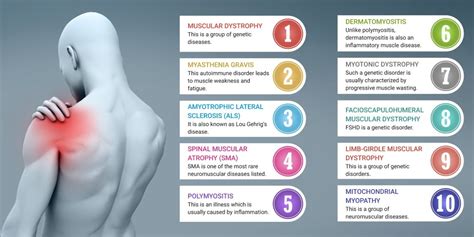 diseases that affect muscles