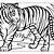 disegni da colorare di tigri