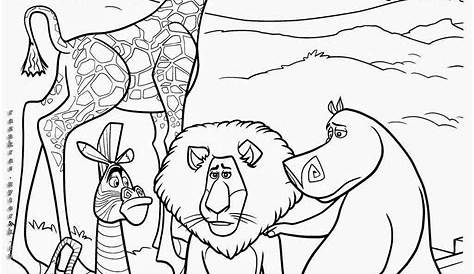 Madagascar 3 disegno colorare | Coloring pages, Coloring pages for kids