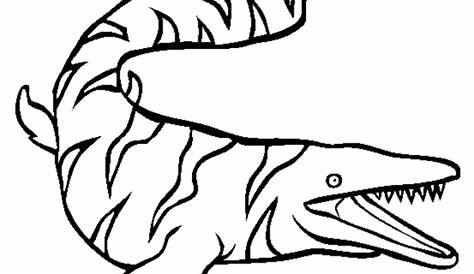 3 Disegni in un video! (Mosasauro, Megalodonte e Kraken) Paint - YouTube